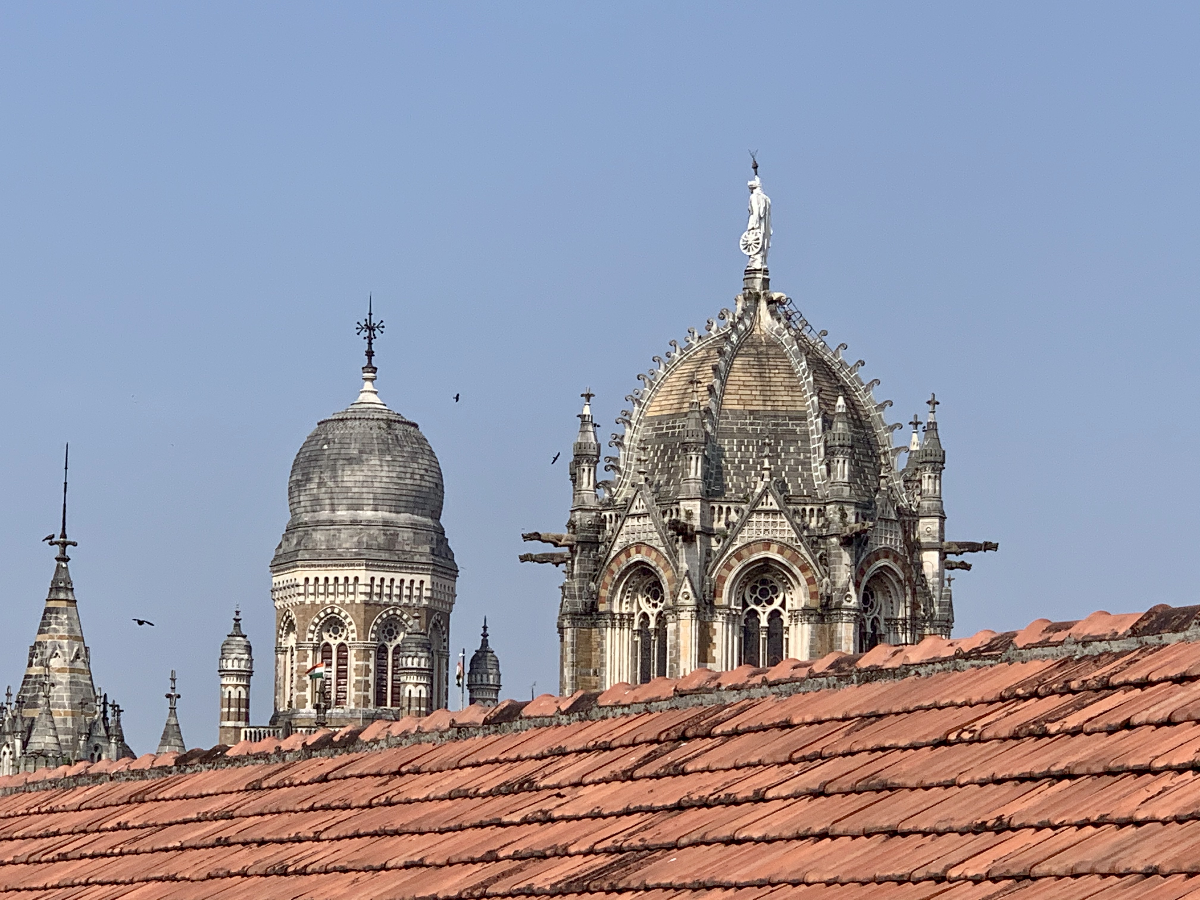 008607EF-FADE-48A5-9A63-1C1E9435F6CC_1_201_a